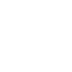 LEVEL IX LABS
